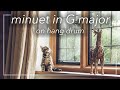 Minuet in G major on Hang Drum • Johann Sebastian Bach (Christian Petzold) • Extended version