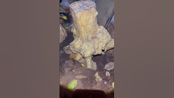 Phom dáng đẹpChất nu cámMùi gỗ thơmCao 67*60*60