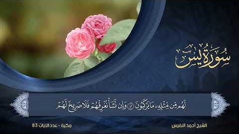 سورة  يس  مكتوبة للشيخ أحمد النفيس / المصحف المرتل كاملا