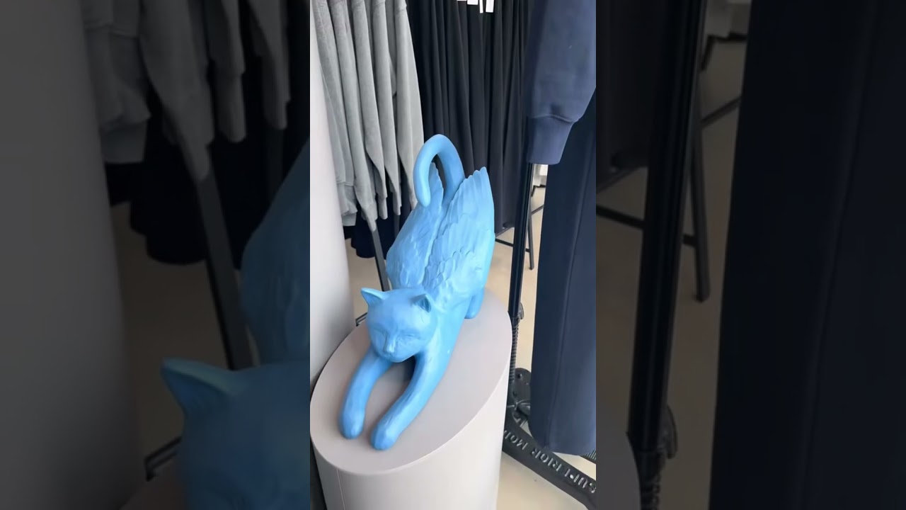 Aritzia window installation is giving 