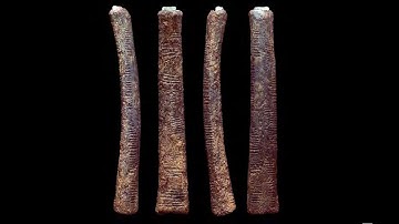 The Ishango Bone