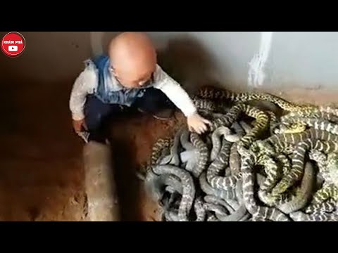 Lạnh Gáy Với Những Thú Cưng Đáng Sợ Của Các Em Bé Này Sở Hữu Nhìn Thôi Đã Nổi Hết Cả Da Gà Rồi