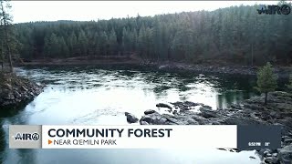 Details Air4 Adventure: Community Forest near Q'emiln Park Guide