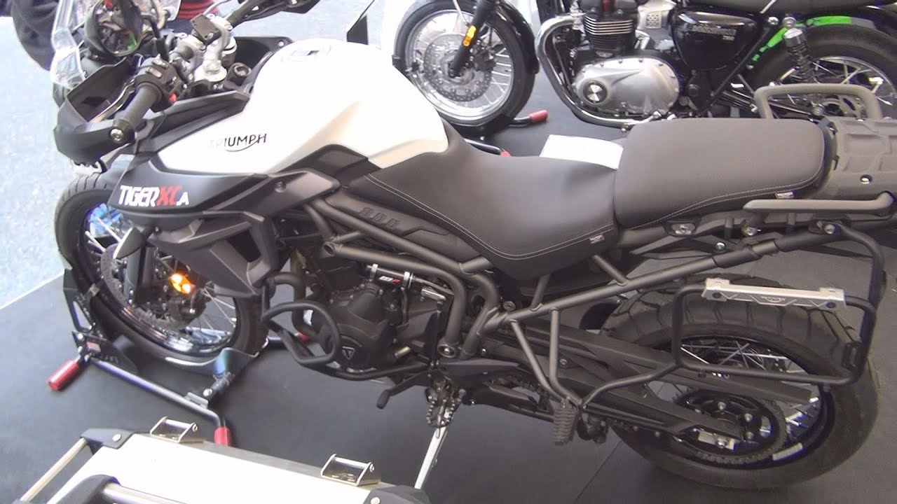 Triumph Explorer Wiring Diagram Triumph Free Engine Image For User