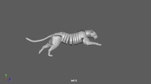 Animating Leopard Run Cycle Tutorial Coming Soon / Maya