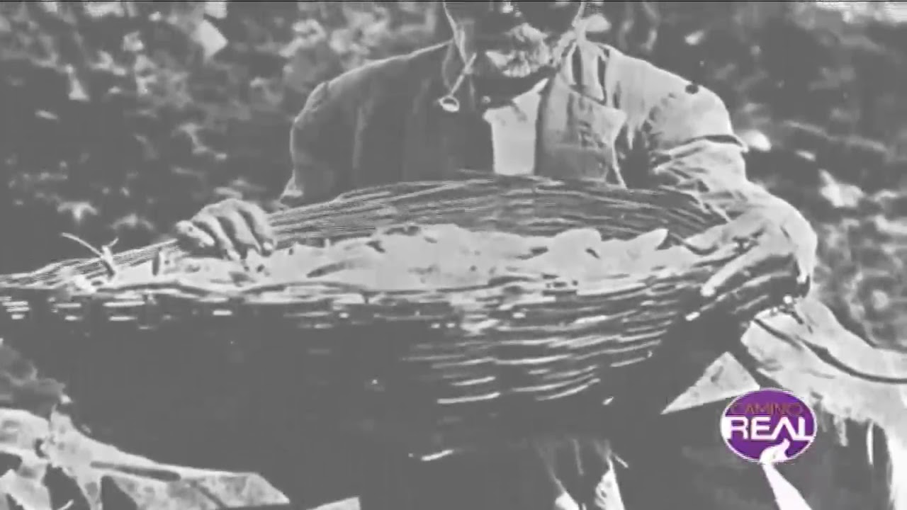 LOS MINA Y SU HISTORIA cristobal balenciaga