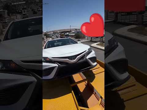 انا طبار الجماجم 