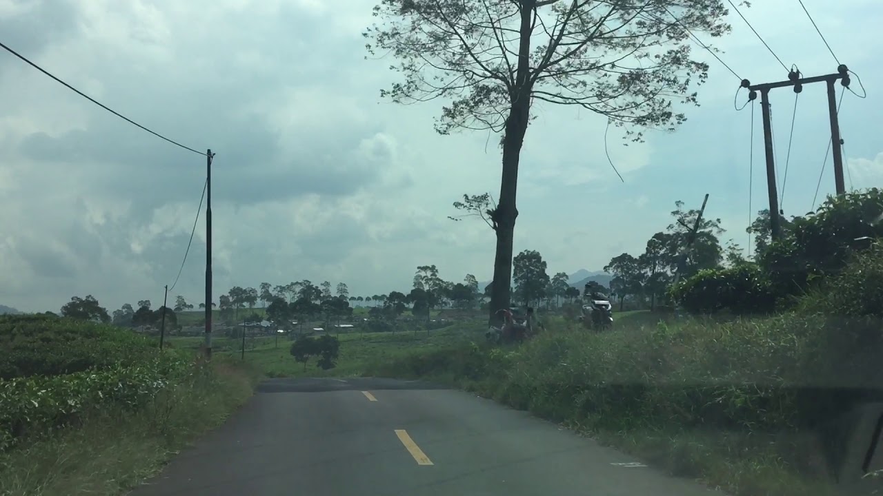 Traveling kebun teh Rancabali ciwidey - YouTube