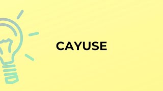What is the meaning of the word CAYUSE?