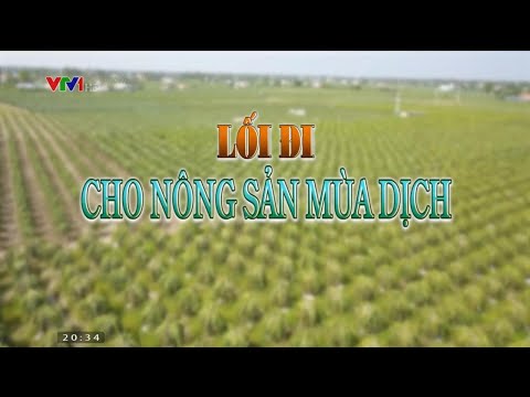 Lối đi cho nông sản mùa dịch