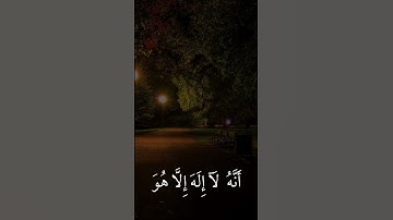 سورة آل عمران| 16-18|القارئ:#ماهر_المعيقلي #قران #quran #راحة_نفسية #قران_كريم #تلاوة