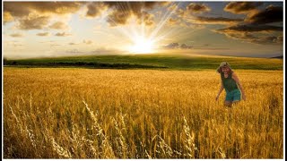 For Susan... FIELDS OF GOLD