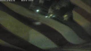 MARINA CAM: Live from the Galveston Yacht Basin and Cruise Terminal 10