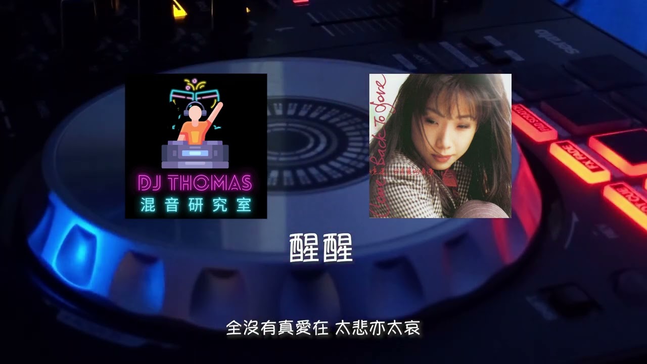 林憶蓮 Sandy MegaMix