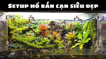 #0011 Hướng dẫn chi tiết cách làm và chăm sóc hồ bán cạn 120cm - Aqua Hà Nội