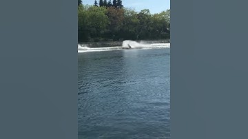 MY FAIL AT A TANTRUM AT THE WWA WORLD WAKEBOARDING CHAMPIONSHIPS!🏄🏻‍♀️🤙🏼