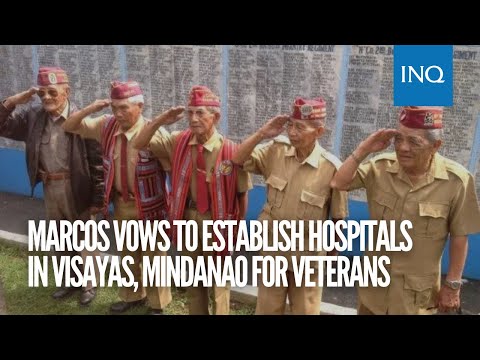 Bongbong Marcos vows to establish hospitals in Visayas, Mindanao for veterans