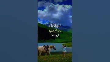 #alquran Surah Luqman - سورة لقمان ..#alquran #islamivideo #mashallah #islamviral #quran