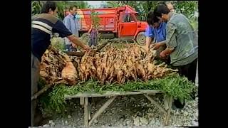 Şekeroğlan / Kemaneci Yusuf Aktaş