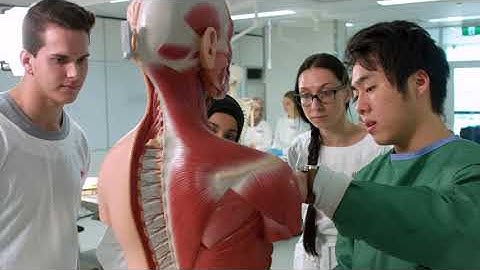 Study Biological Science 30sec