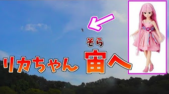 ペットロス 犬 プレゼント Youtube