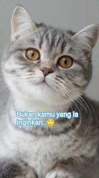 Bukan kamu yang ia pilih#kitayangbercerita#trimakasihsydahhidup