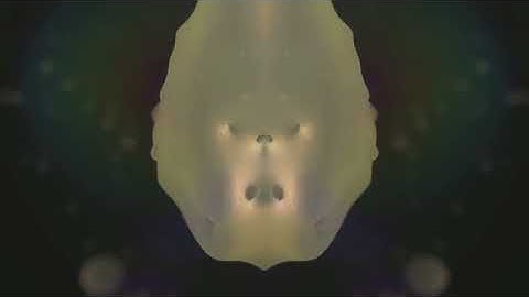 Deftones - Tempest [Official Lyric Video]