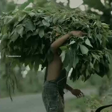 story' wa terbaru 2021 story' wa Ega Al faris Agus kotak terbaru 2021