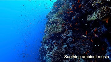 Soothing ambient music - UDO Super Gemini Groove Synthesis 3rd Wave Sequential Trigon/Prophet 6