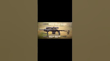 這些槍都不知道是那些「人才」改的？（喜歡的話就訂閱吧！^-^）