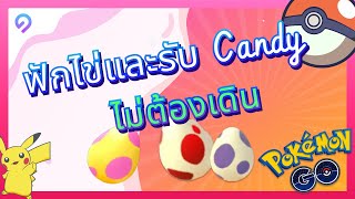 การฟักไข่และรับตารางบัดดี้ Candy ในเกม Pokemon Go โดยไม่ต้องเดิน (iOS & Android)