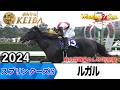 スプリンターズS 2026の前に見たい！ルガルが勝利した2024年【胸熱！！Winning Re:Run】