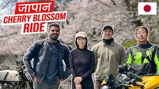 One Perfect Day Ii Cherry Blossom Bike Ride Ii Indian In Japan
