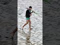 The first fish in Qiantang River is a new internet celebrity who is active in the Qiantang River