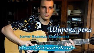 Костя Cat not Dead - Широка река (cover Надежда Кадышева)