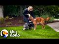 Dog Plants Himself Outside New Friend’s House Until She Comes Back | The Dodo