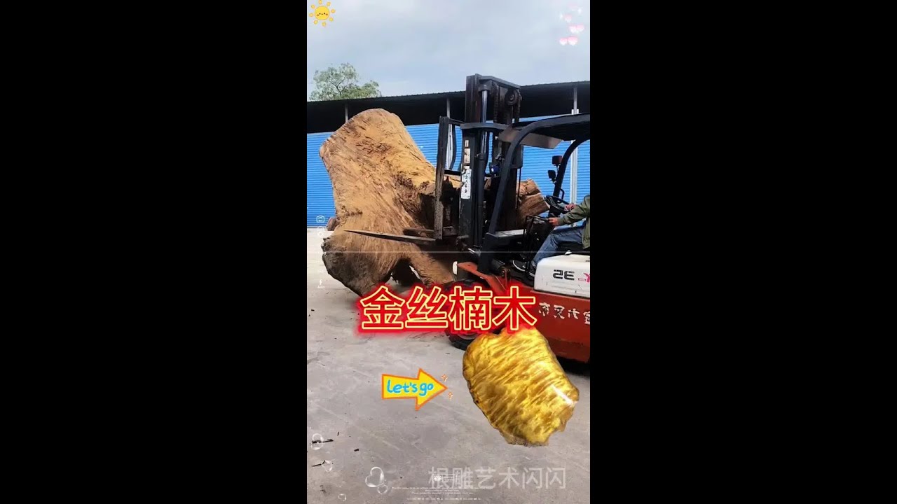 What kind of wood is called the divine tree in the East?