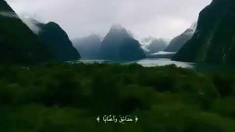 تلاوة معاذ الجماز ||