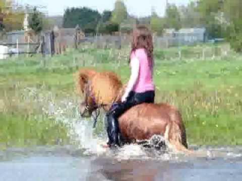 Zwemmen met Maartjeee