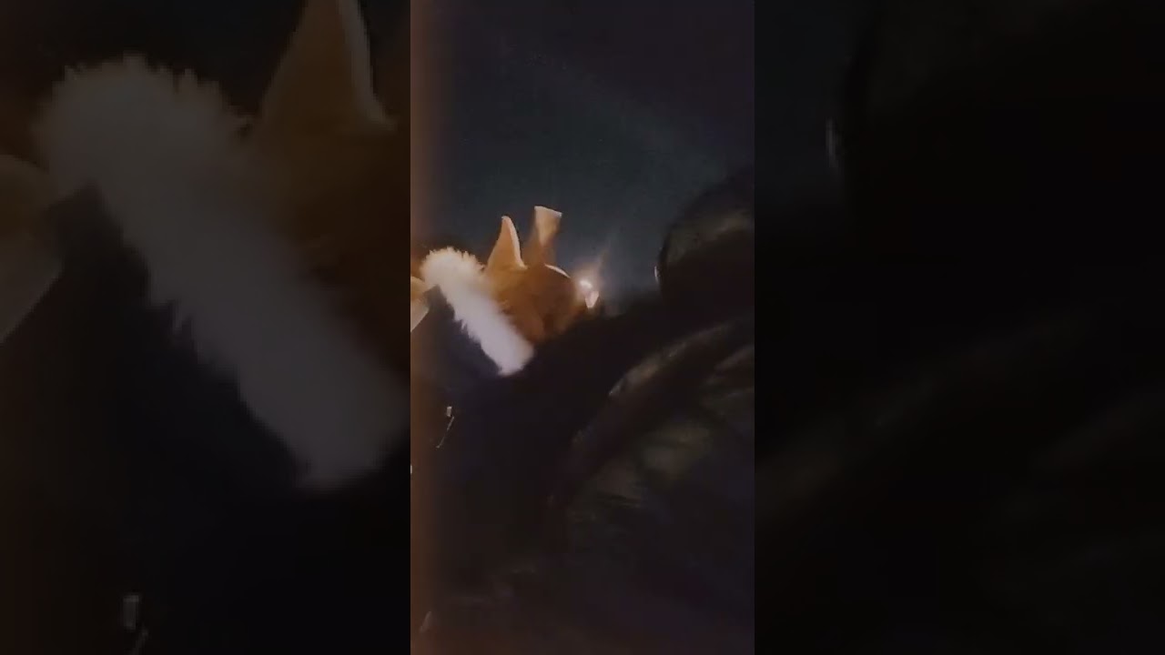 ESK8T Night Cruising