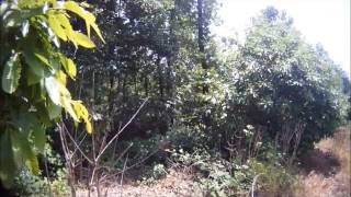 Lone Target Film / airsoft / G-Eyes / HD