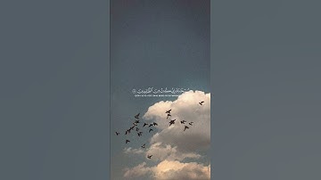 اكتب شيء تؤجر عليه 😴🤎 القارئ ياسر الدوسري #راحة نفسية