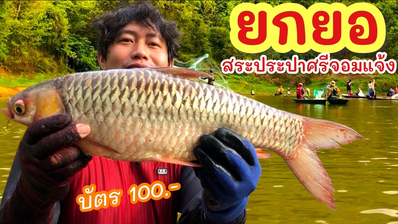 ยกยอ บ่อประปาศรีจอมแจ้ง ►Fishing lifestyle Ep.899