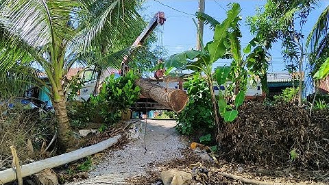 Cần cẩu v370 , cẩu khúc gỗ cạnh ống nước siêu nhanh