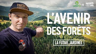 ENQUÊTE : L' Avenir des Forêts a déjà 130 ans ! | EP 2 : La futaie jardinée