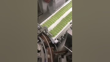 automatic dumpling machine/ gyoza making machine