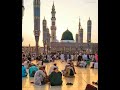 ياشوقني زور قبره ﷺ من كلمات سيدي الحبيب صالح باعش حفظه الله ورعاه 