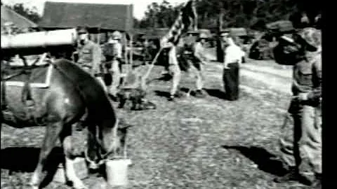 Sgt Reckless - Korean War Horse Hero