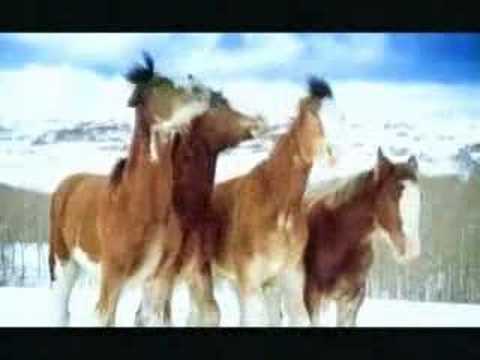 clydesdale-snowfight!