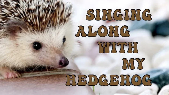 SINGING ALONG WITH MY HEDGEHOG Music & Video Editi...